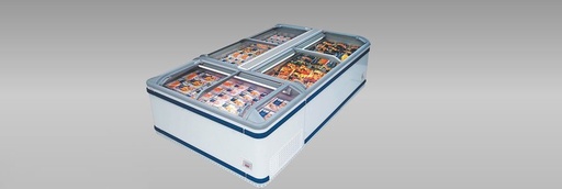 IC-18 Frozens Food & Ice Cream Cabinet